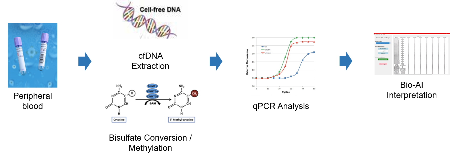 Pan-Cancer Screening Test Kit Workflow