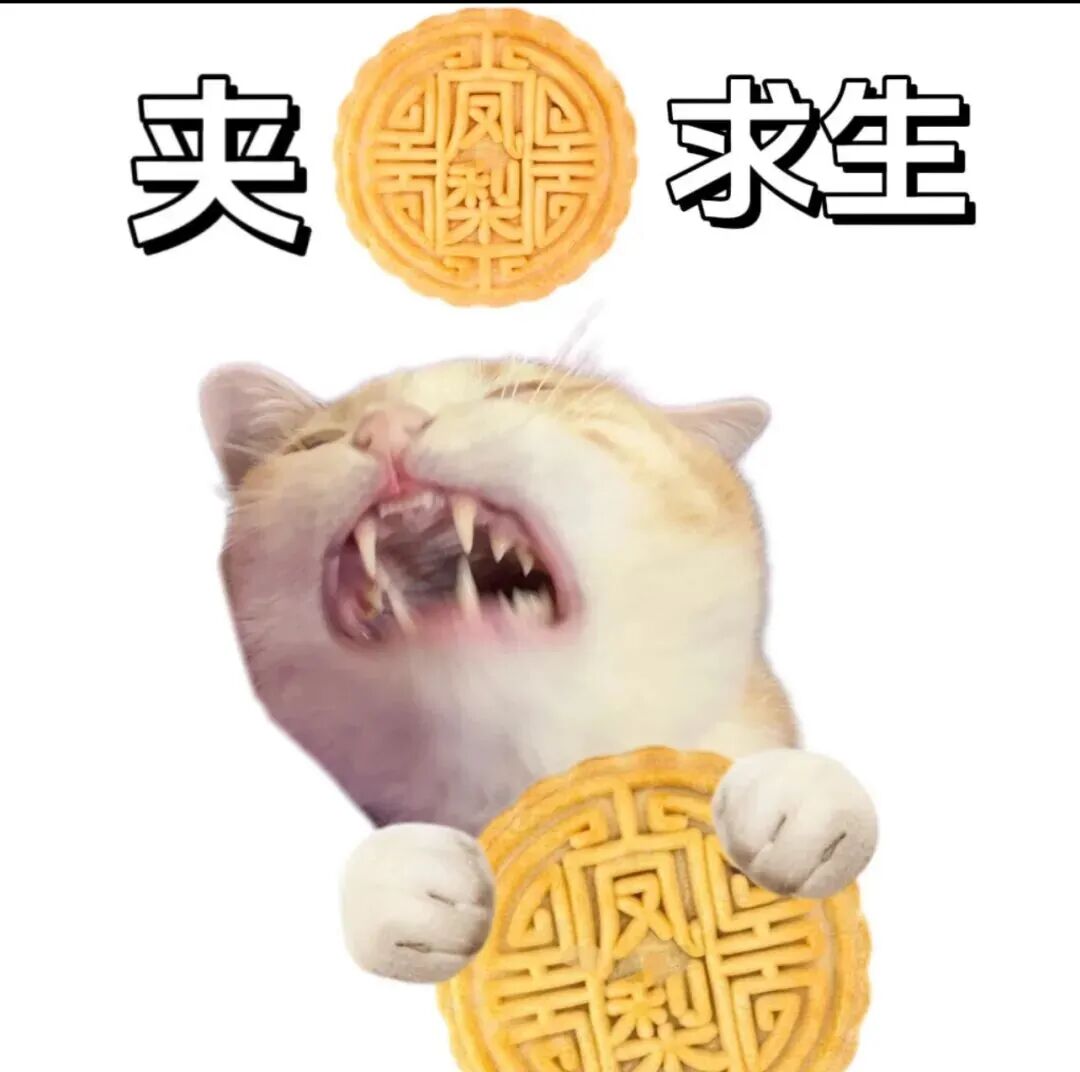 Weixin Image_20251010105000