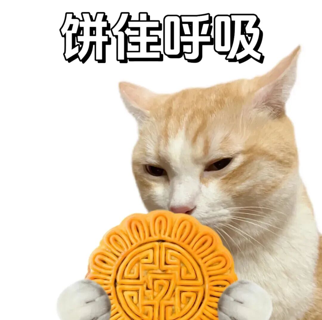 Weixin Image_20251010105010